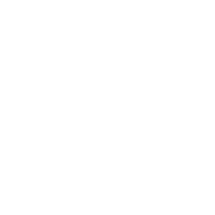 Rueda Abdominal con Apoyabrazos